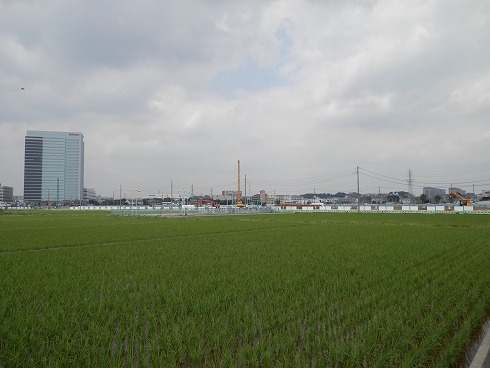20130629-1 087.jpg
