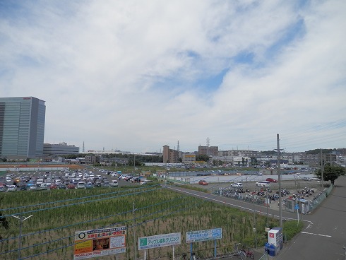 20130715-1 047.jpg