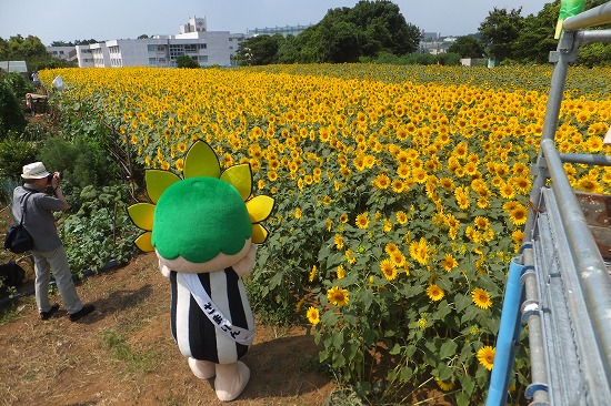 20130727-021.jpg