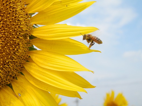 20130821 080.jpg