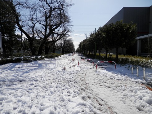 20140209 008.jpg
