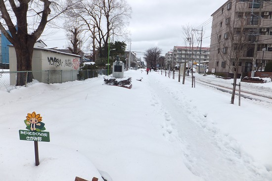 20140215 008.jpg