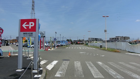 CIMG0118.jpg